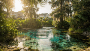 Florida natural spring near a residential community