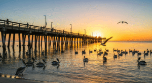 Deerfield Beach Florida affordable move